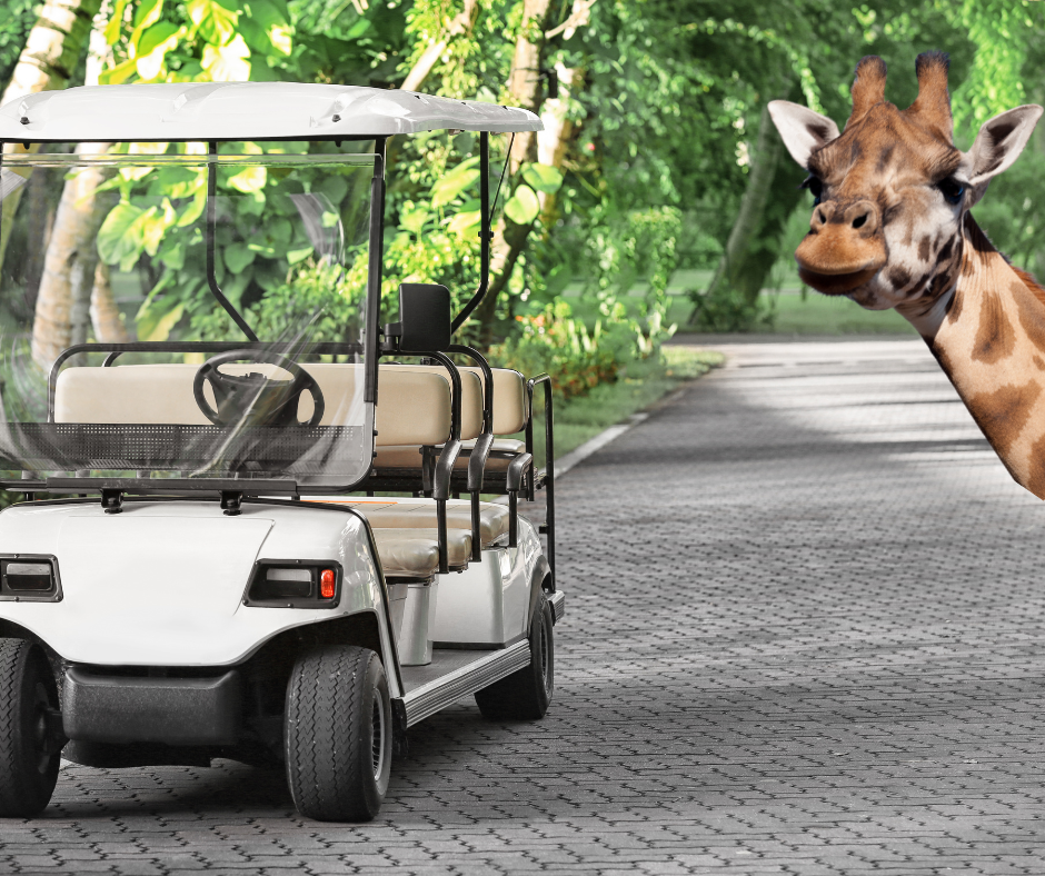 Golf cart mobility